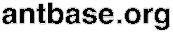 Antbase