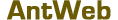 AntWeb